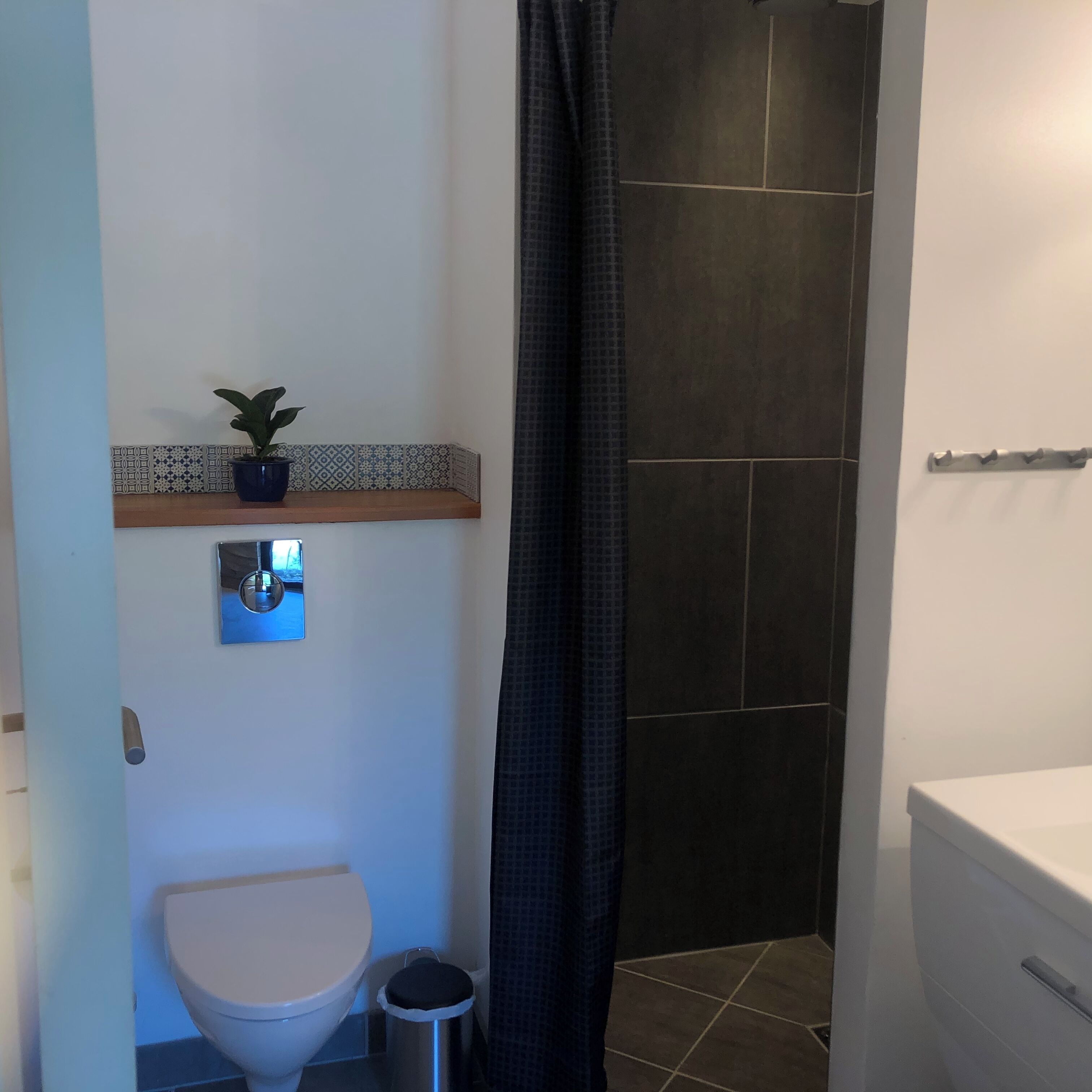 Et badeværelse med toilet, vask, bruser med mørk brusevæg og en lille hylde med en potteplante.