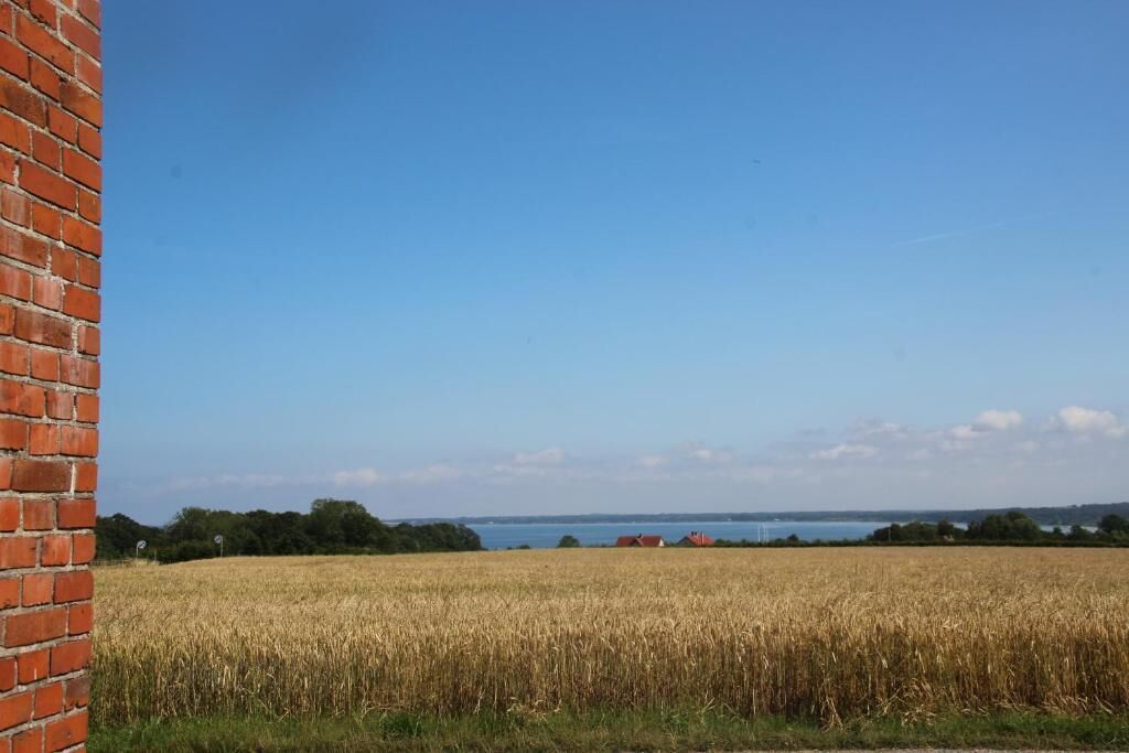 A brick wall and a field of wheat with a clear blue sky and distant trees.