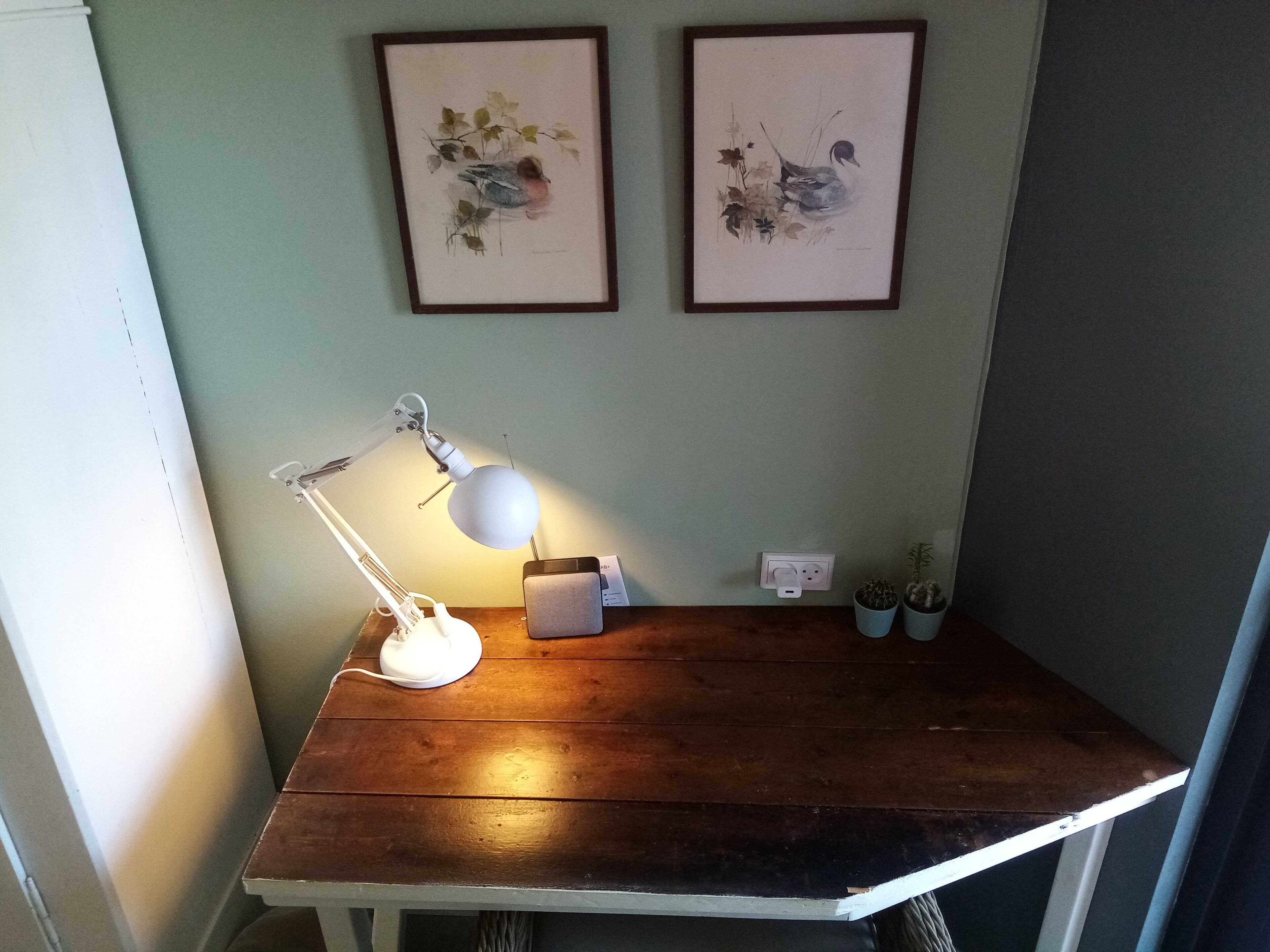 A wooden desk with a white desk lamp, two framed artworks on the wall, a power outlet, and two small potted plants.