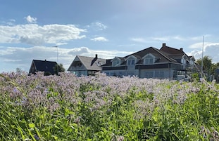 A residential house with a large garden in front.