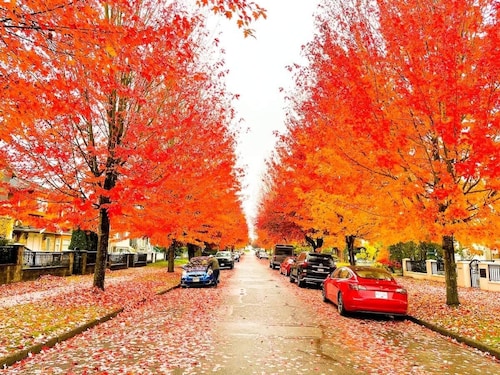 Spacious Family Home in Vancouver