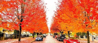 Spacious Family Home in Vancouver