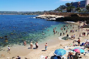 A crowded beach with clear water, people swimming, and umbrellas. - Casa de la Sirena | 1BR La Jolla Beach Cottage (San Diego)