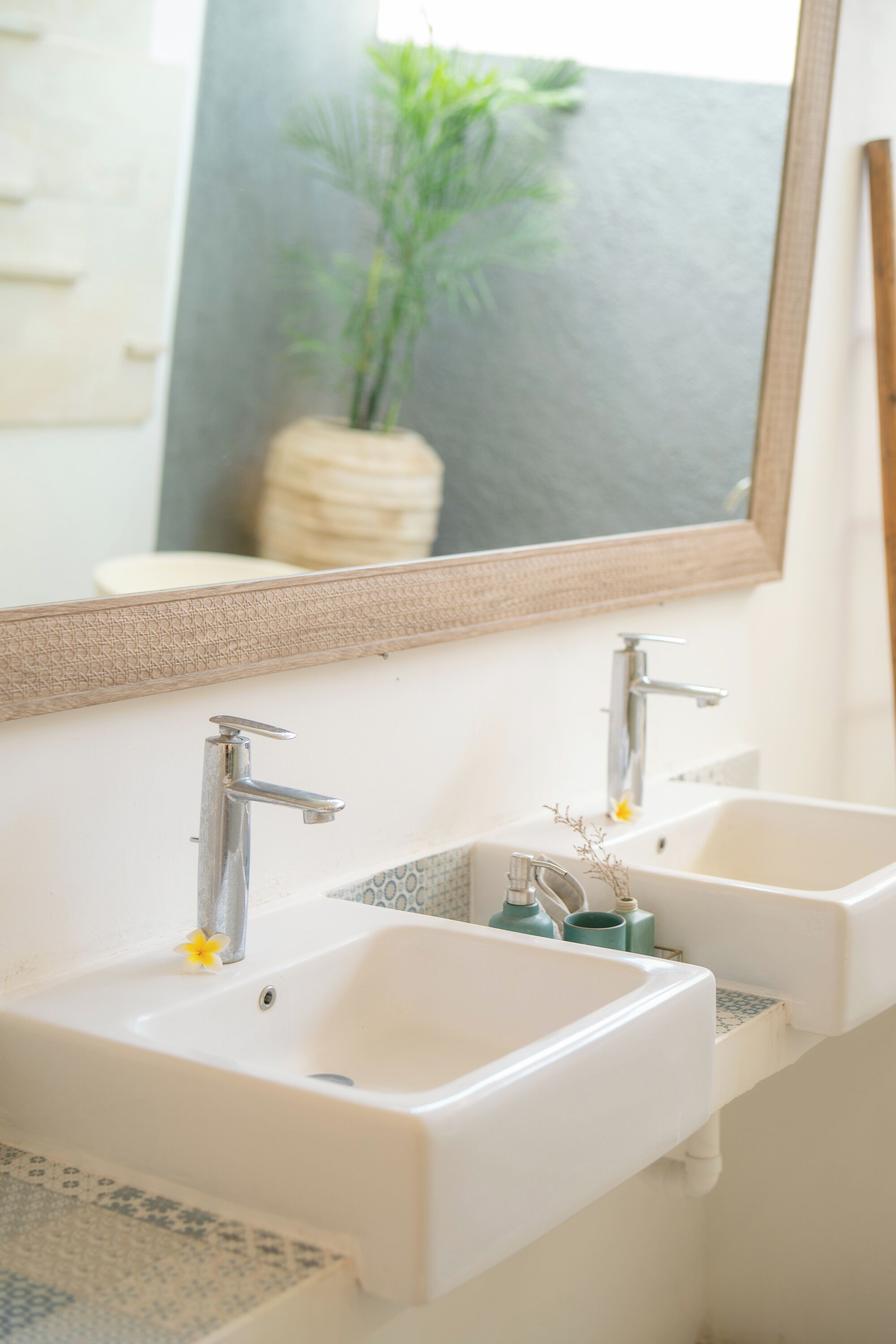 A bathroom with two sinks, a mirror, and a potted plant.