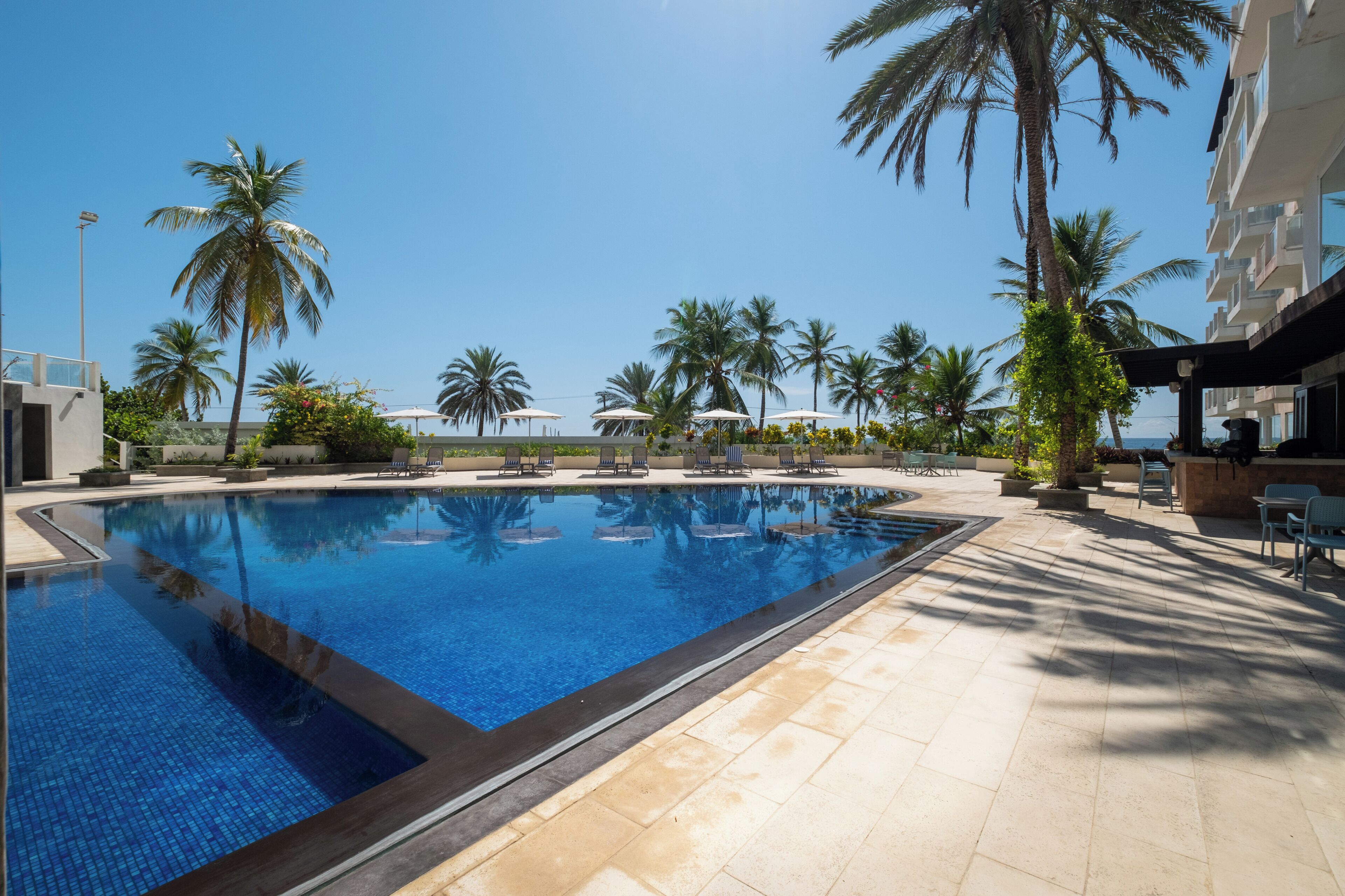 A swimming pool with palm trees, lounge chairs, and a building in the background.