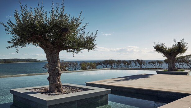 A pool area with two trees and a clear view of the water. - Zélia Halkidiki, part of Destination by Hyatt - Adults Only (Nea Propontida)