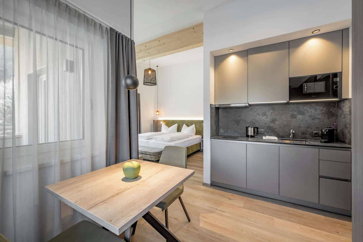 Basic Apartment, Balcony, Mountain View | 1 bilik tidur, kalis bunyi, Wi-fi percuma