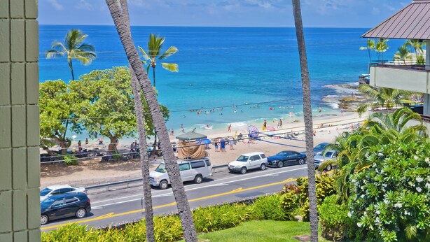 Vista de playa con palmeras, una carretera con coches y un cielo azul despejado.