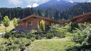 A wooden cabin with a stone foundation, surrounded by lush greenery and a mountainous backdrop. - Holiday House with Mountain View (Brixen im Thale)