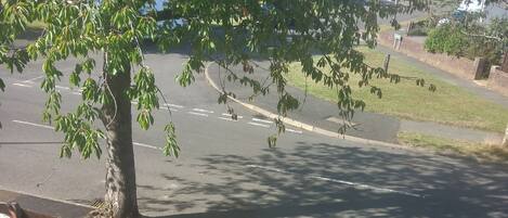 House | Kawasan hartanah