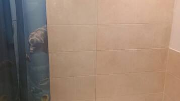 House | Bathroom | Shower, towels