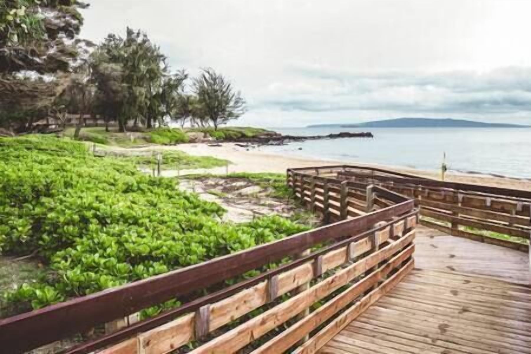 Sun loungers, beach towels
