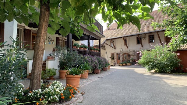 Een pittoresk straatje in een dorp, omzoomd door traditionele huizen, een boom met hangplanten en diverse bloempotten.
