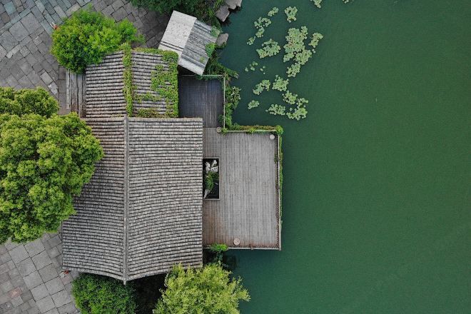 A wooden dock extending into a body of water with lily pads, surrounded by greenery.