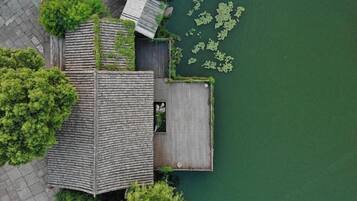 A wooden dock extending into a body of water with lily pads, surrounded by greenery.