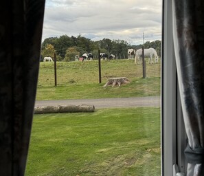 Apartment | View from property