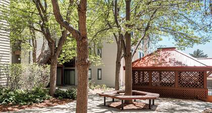 Cozy Studio Unit in DTC