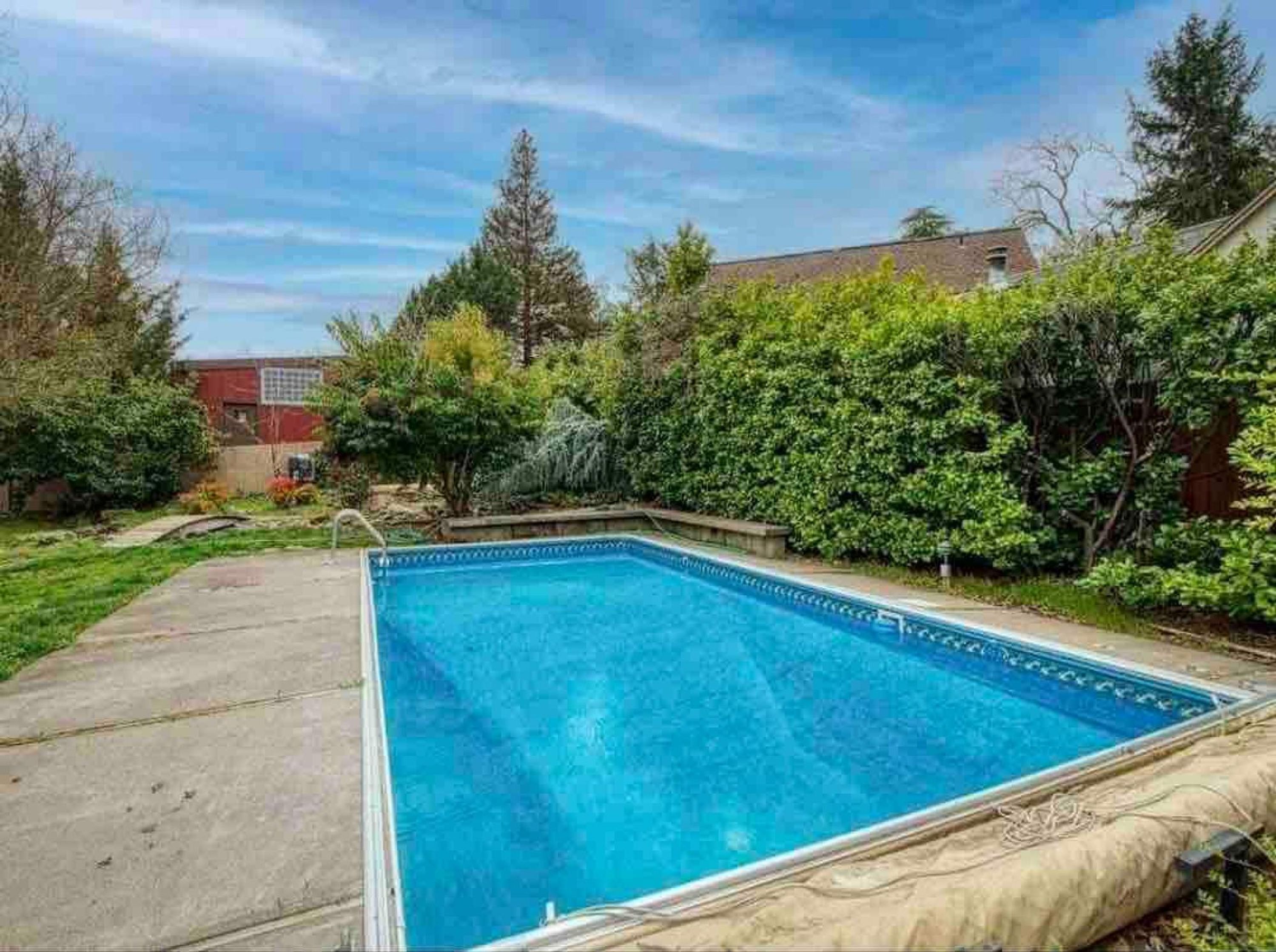 Ein rechteckiger Pool mit glasklarer, blauer Wasseroberfläche, umgeben von einer Betonplattform und gesäumt von dichtem Grünwerk.