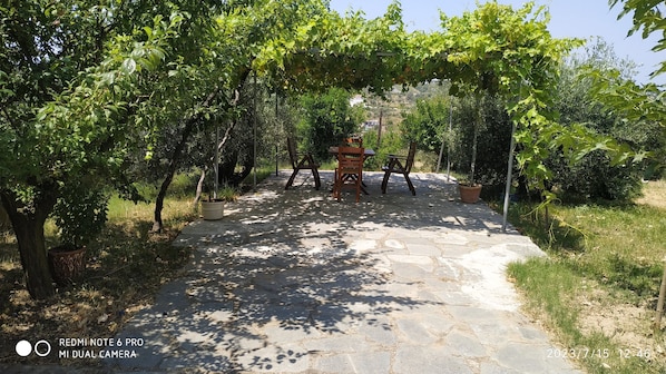 En stentrappe fører til et træbord med stole under en pergola, omgivet af frodig vegetation.