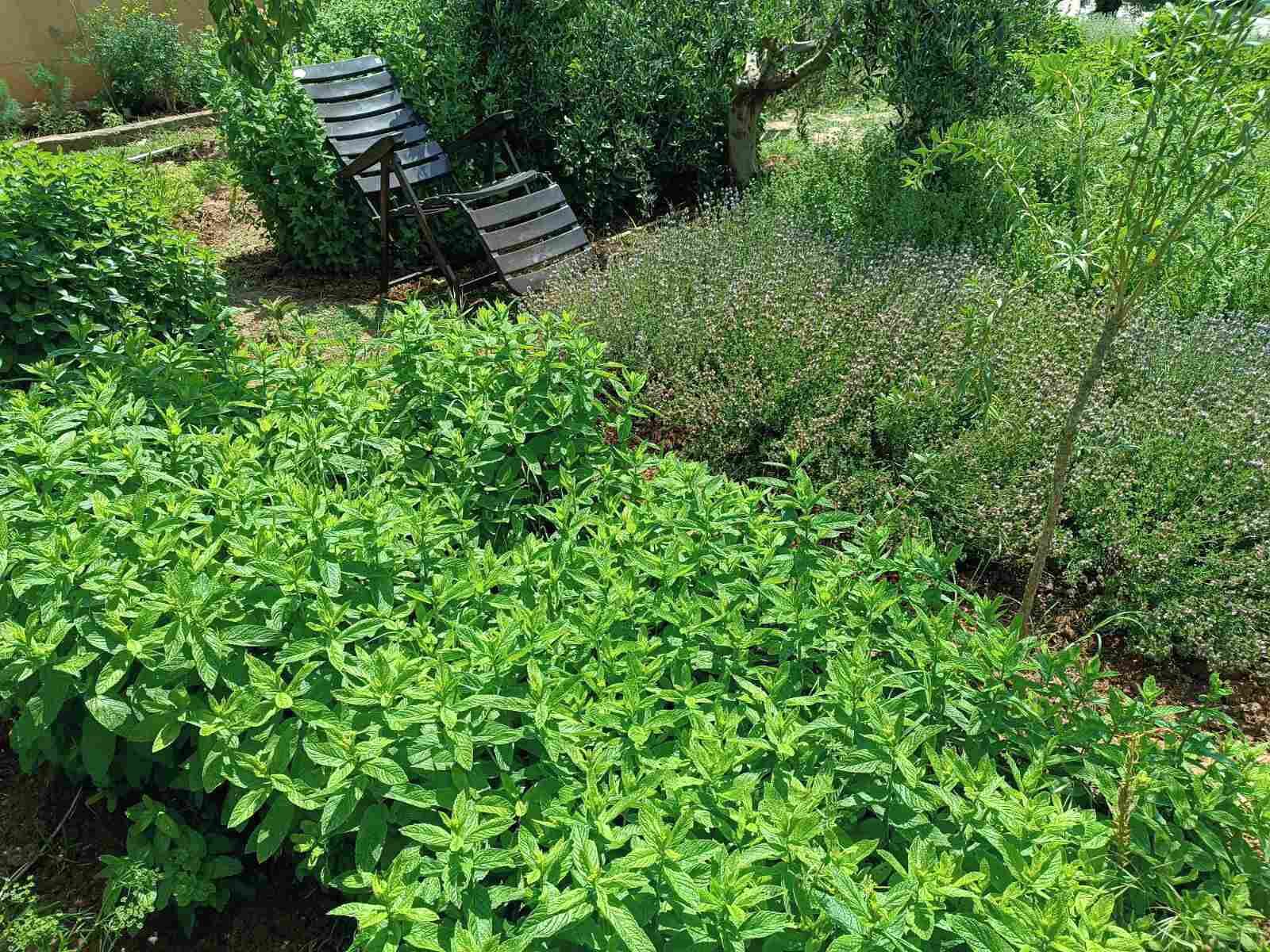 住宿场地