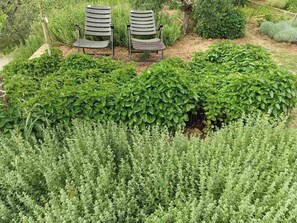 Àrea exterior de l'allotjament