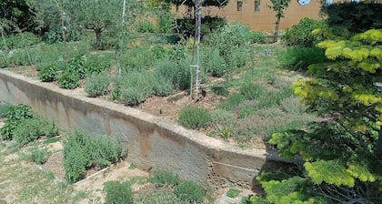 The Villa with the Aromatic Herbs