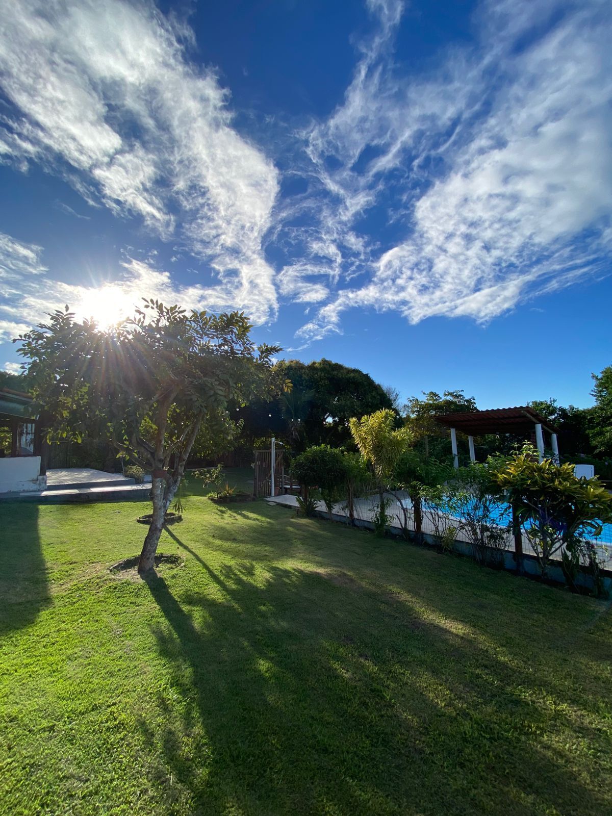 A well-maintained backyard with a swimming pool, a pergola, and a variety of trees.