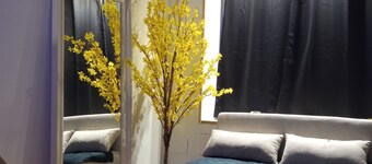 Charmant Studio Atypique, au Coeur d' une rue Commerçante