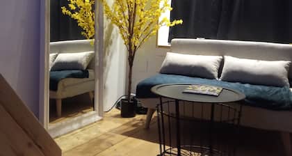 Charmant studio, au coeur d' une rue commerçante, à 2 pas de NAVAL GROUP