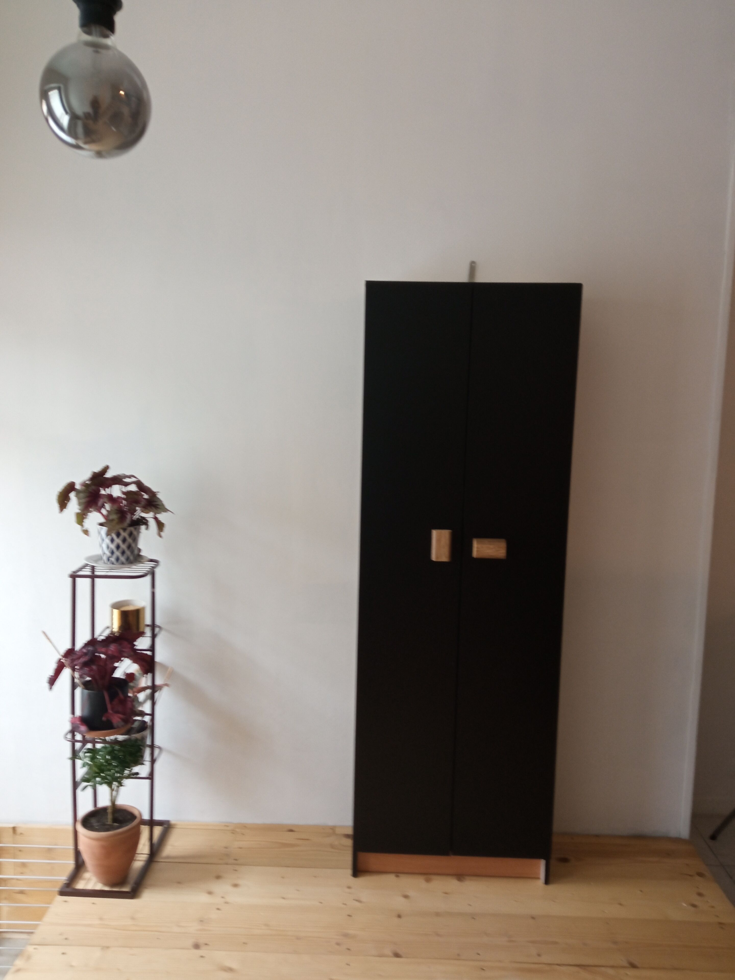 Une armoire noire à deux portes, un plancher en bois et une plante posée sur un support en métal.
