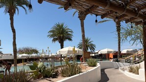 Een zwembadgedeelte met palmbomen, ligbedden en parasols.
