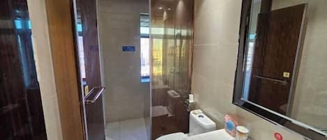 A modern bathroom with a glass shower enclosure, a toilet, a sink, and a large mirror.