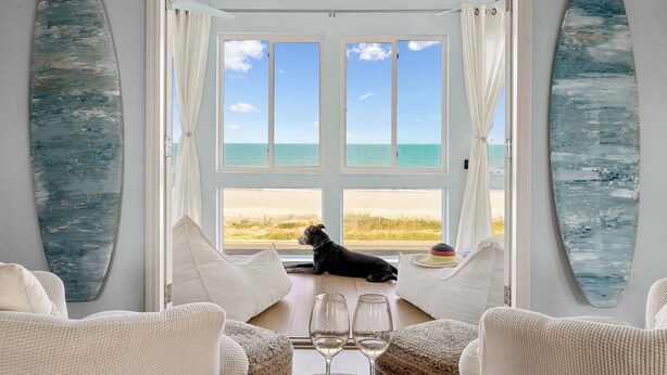 Una stanza con vista sulla spiaggia, un cane sul davanzale e due tavole da surf appese al muro.