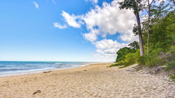 Ein sandiger Strand mit klarem Himmel und dem Meer.