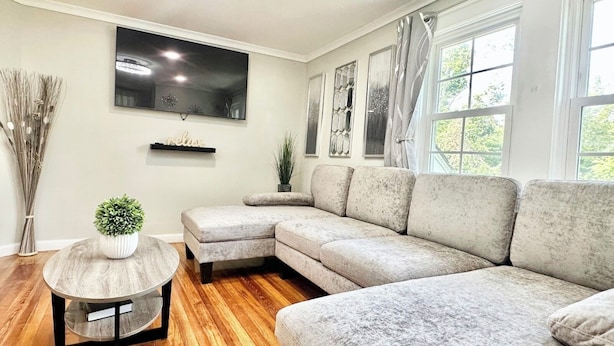 Living area - Town & Country Andover, NJ Area Apt- 2nd Fl (Andover Township)
