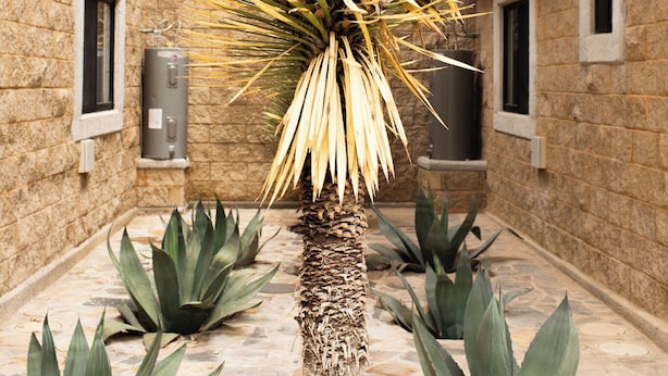 Exterior - Cabañas Bungalos las Alazanas (Arteaga)