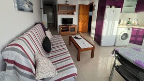 Un salon comprenant un canapé, une table basse, un téléviseur et un lave-linge situé dans la cuisine adjacente.