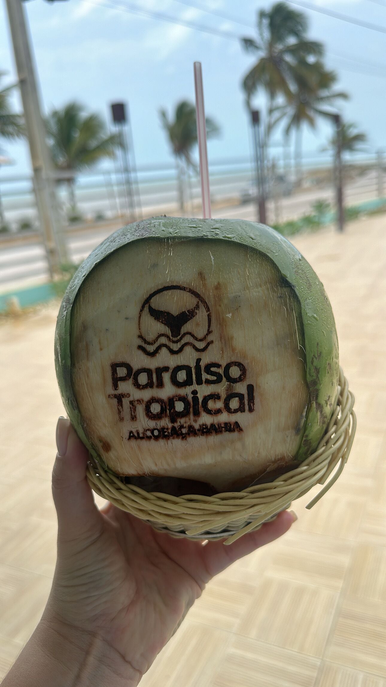 Una mano sosteniendo un coco con una etiqueta que dice 'Paraíso Tropical' y 'Alcool de Palha'.