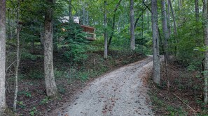 A forested path with a wooden structure on the left.