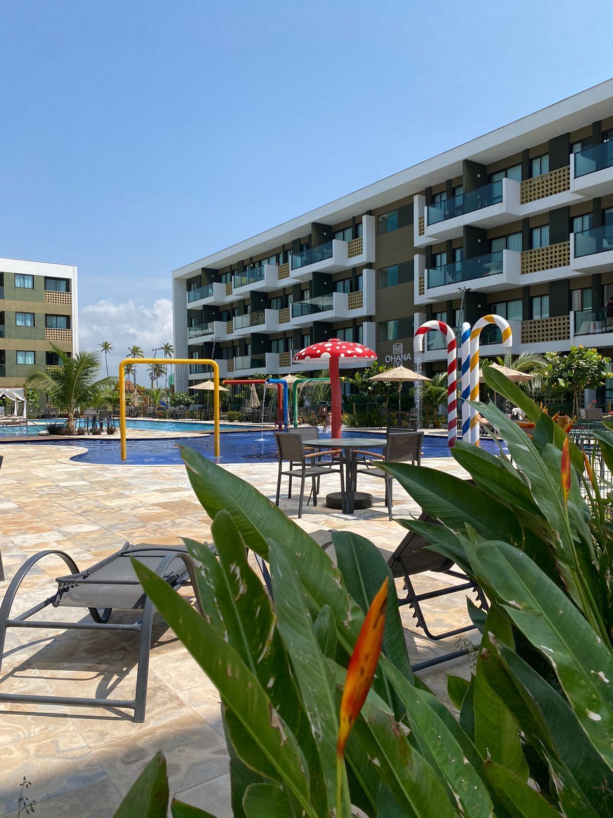 3 piscines extérieures