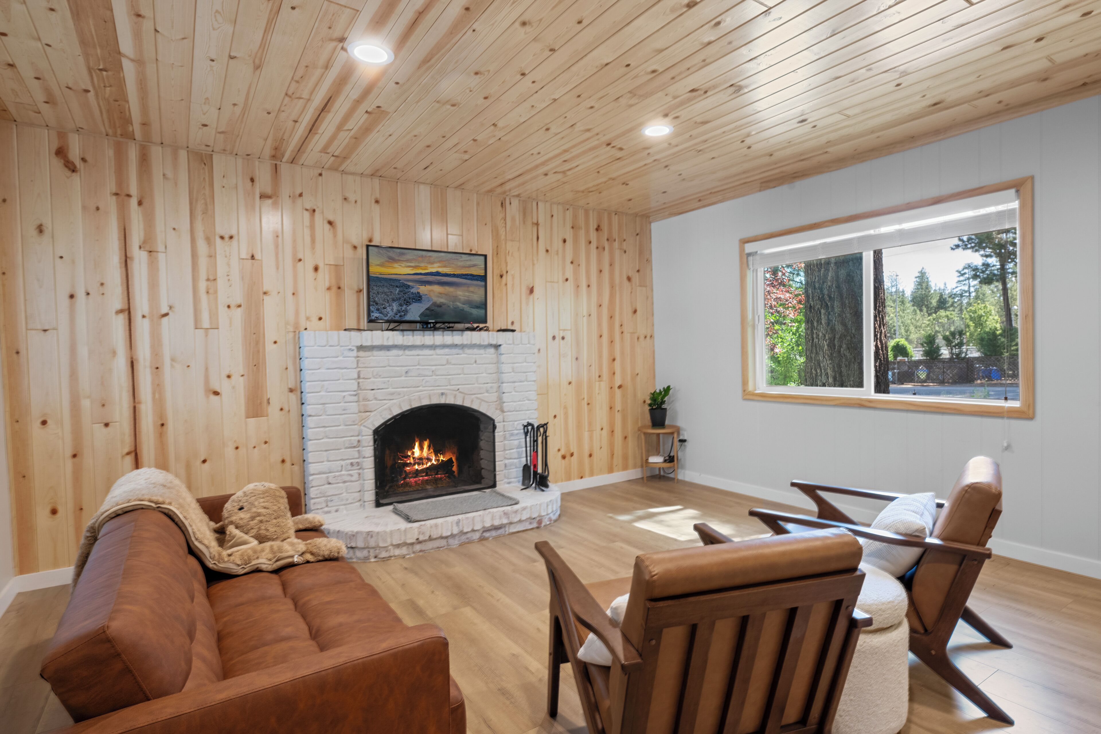 スマートテレビ、暖炉、書庫