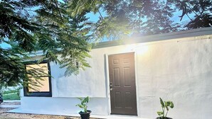 A modern house with a white exterior, a dark brown door, and two potted plants in front.