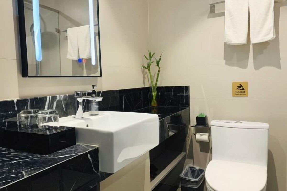 Une salle de bain avec un lavabo blanc, un plan de toilette en marbre noir, un miroir, des toilettes et une petite plante.