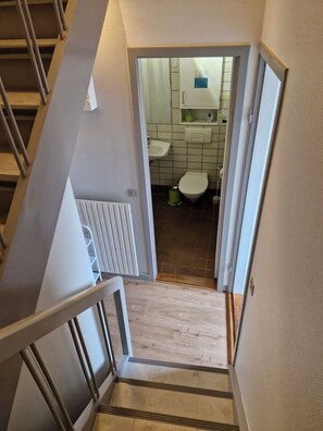 تجهيزات دش، مجففات شعر، مناشف، صابون