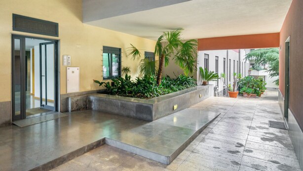 Un ambiente interno moderno con pavimento in cemento, una pianta centrale con vegetazione e una porta che dà su un'altra area.
