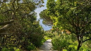 Un sentier étroit, bordé d’arbres, qui mène à un bâtiment dont le toit est recouvert de tuiles rouges.