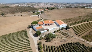 An aerial view of a vineyard with rows of grapevines, a building with a red roof, and a clear sky. - Countryside Charm Near Wedding Venue W/ Bbq Patio (Torres Vedras)