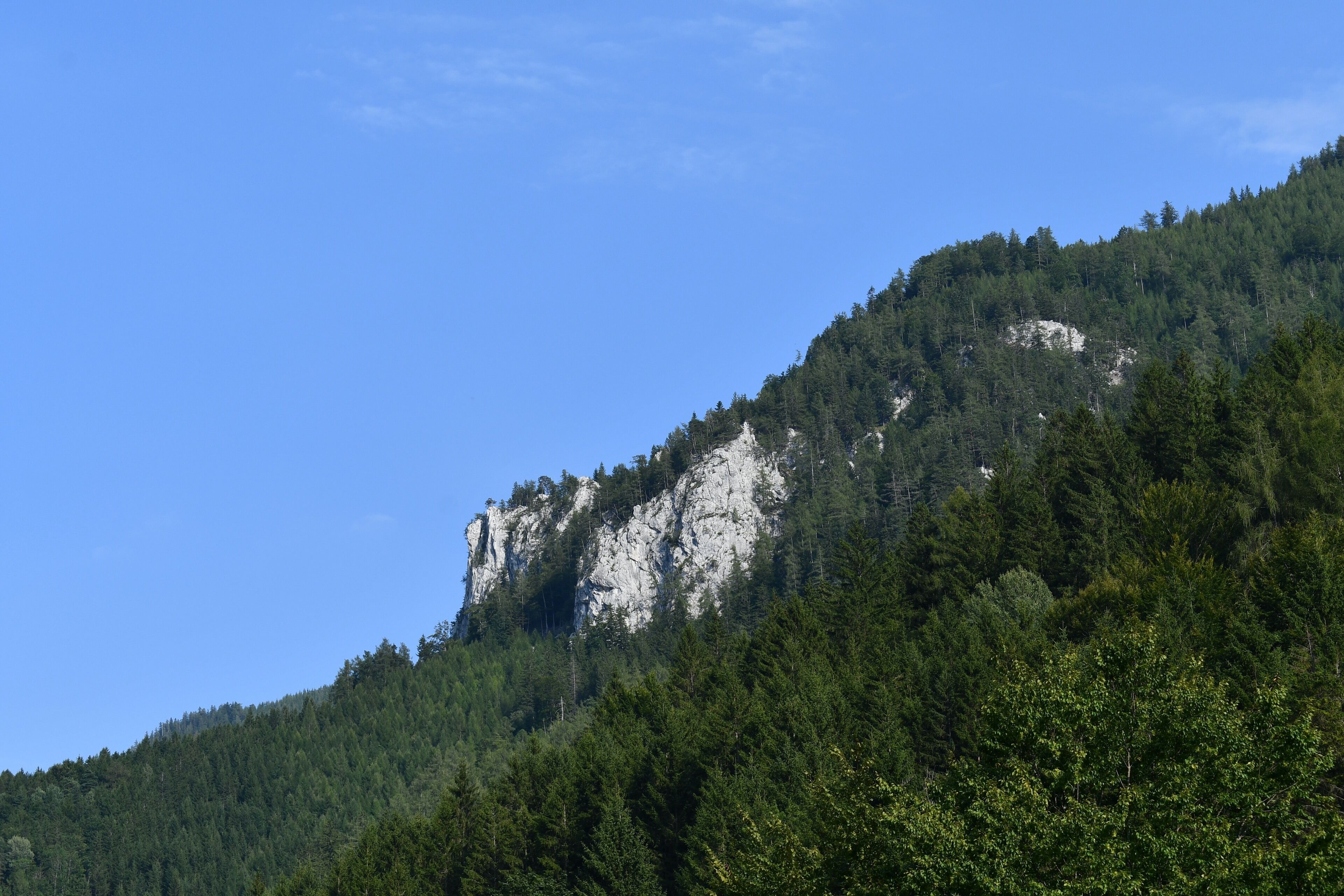 A mountain with dense forest and rocky cliffs.