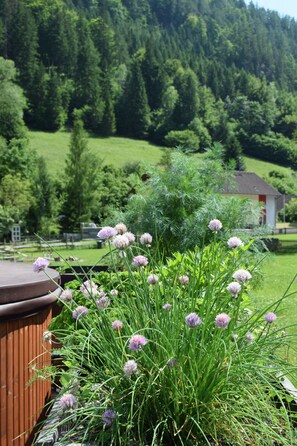 Telt – comfort, fjellutsikt | Terrasse/patio