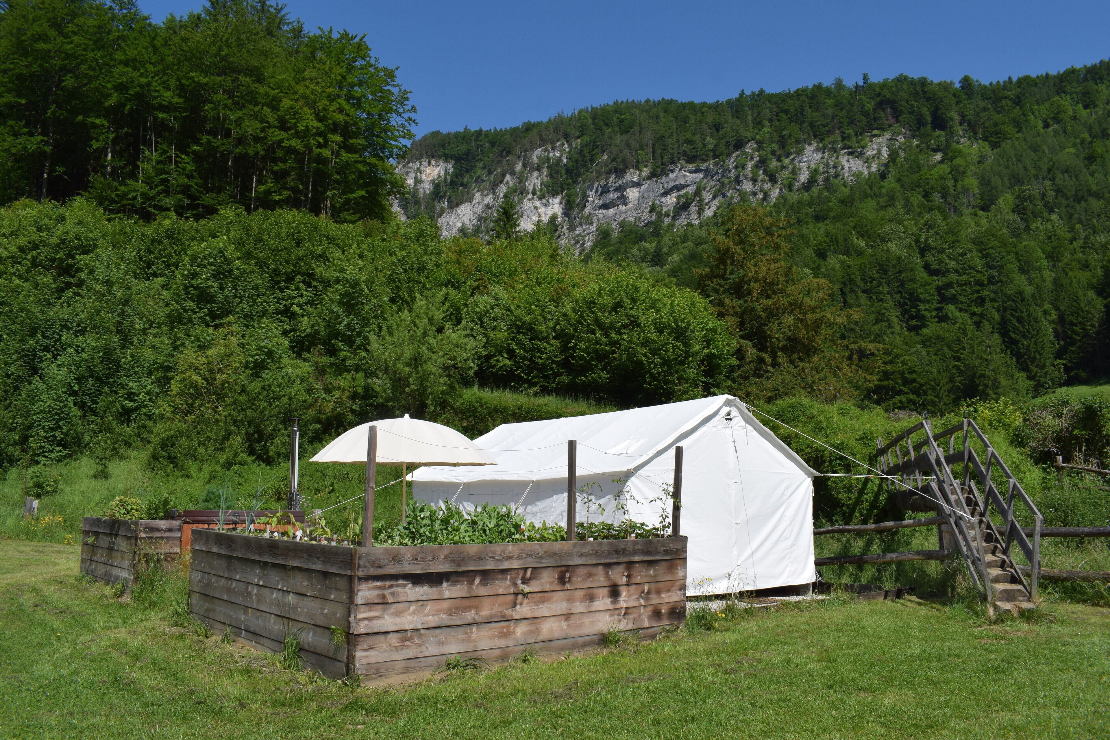 Comfort Tent, Mountain View | Terrace/patio